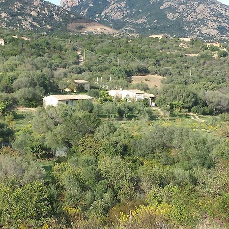 Agriturismo Agrisole Олбия Екстериор снимка