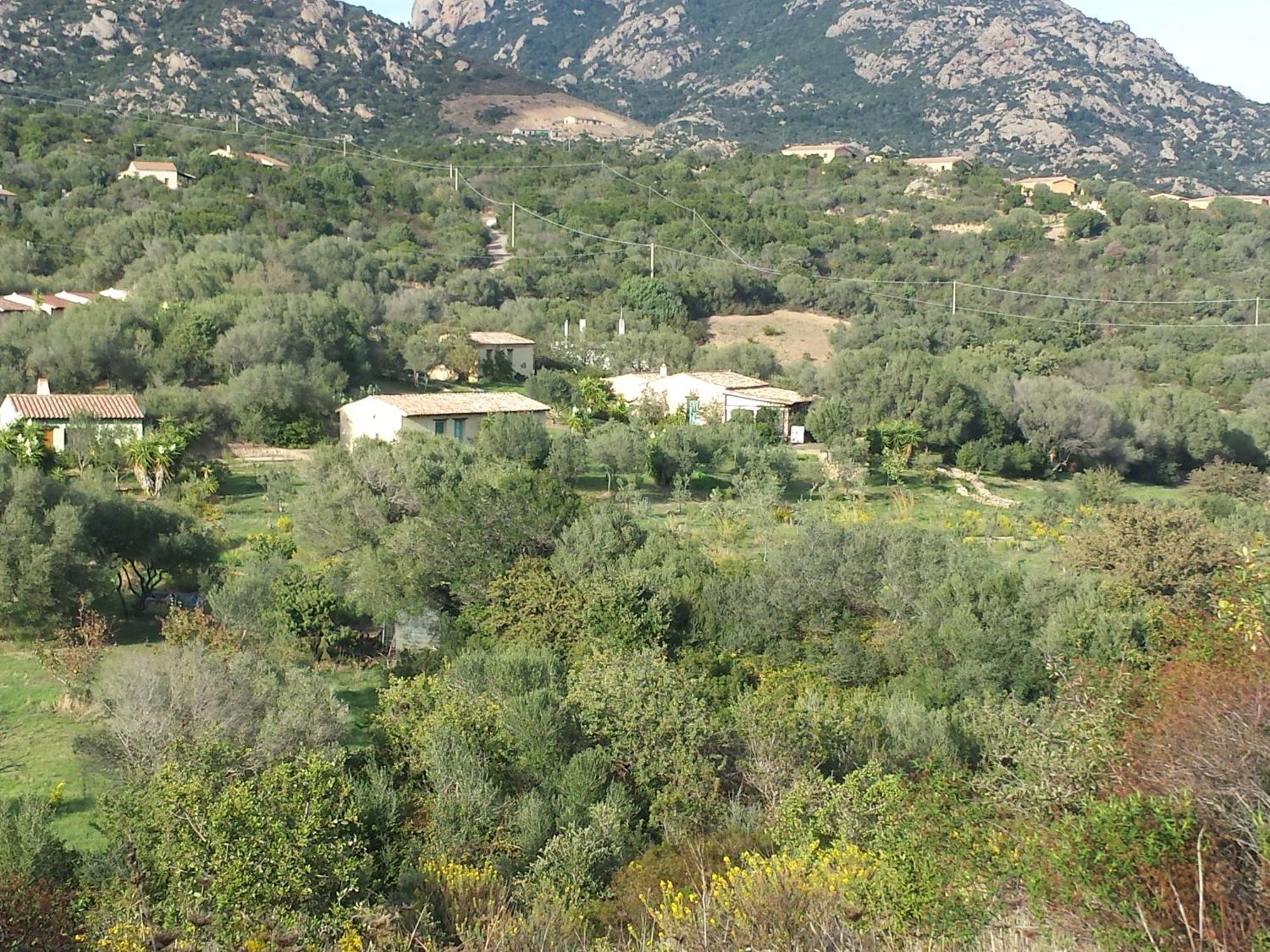 Agriturismo Agrisole Олбия Екстериор снимка