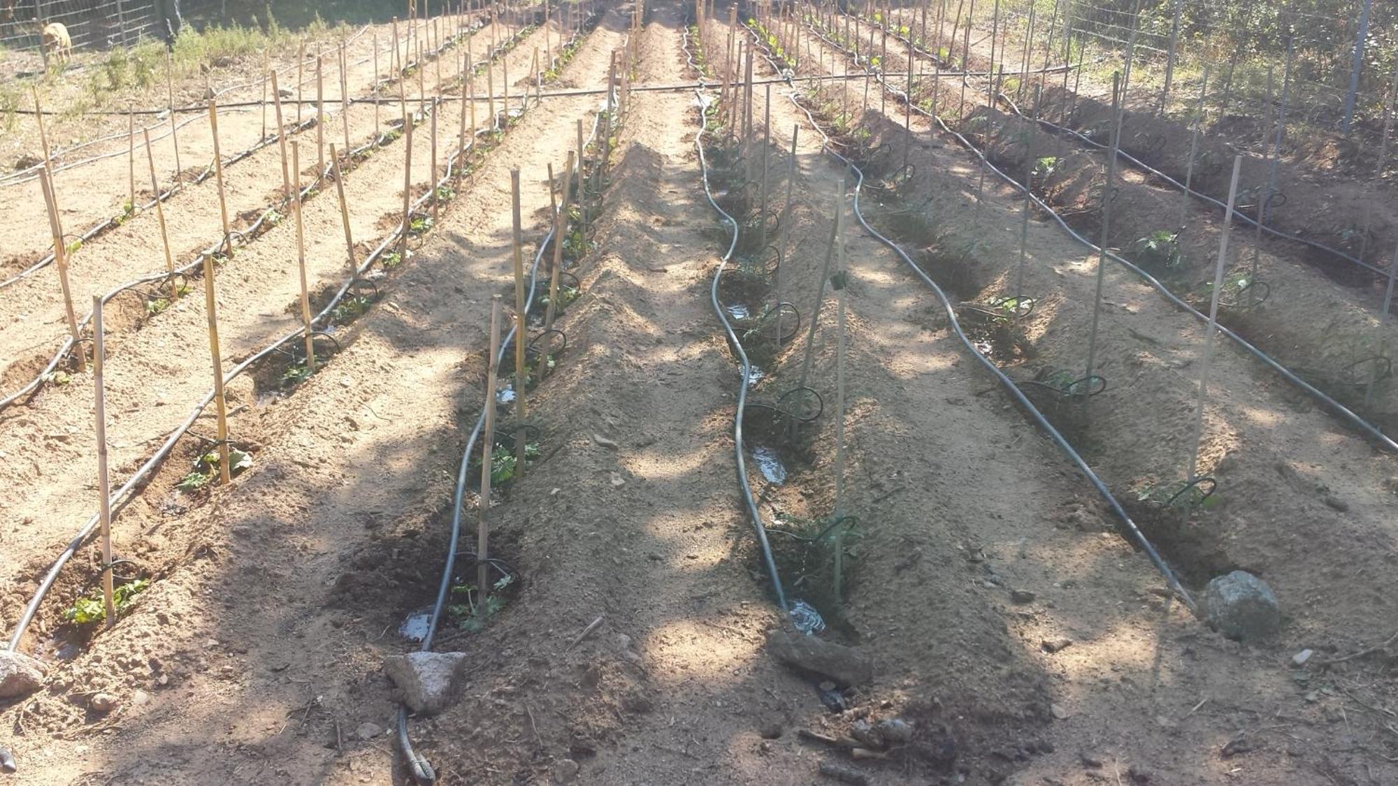 Agriturismo Agrisole Олбия Екстериор снимка