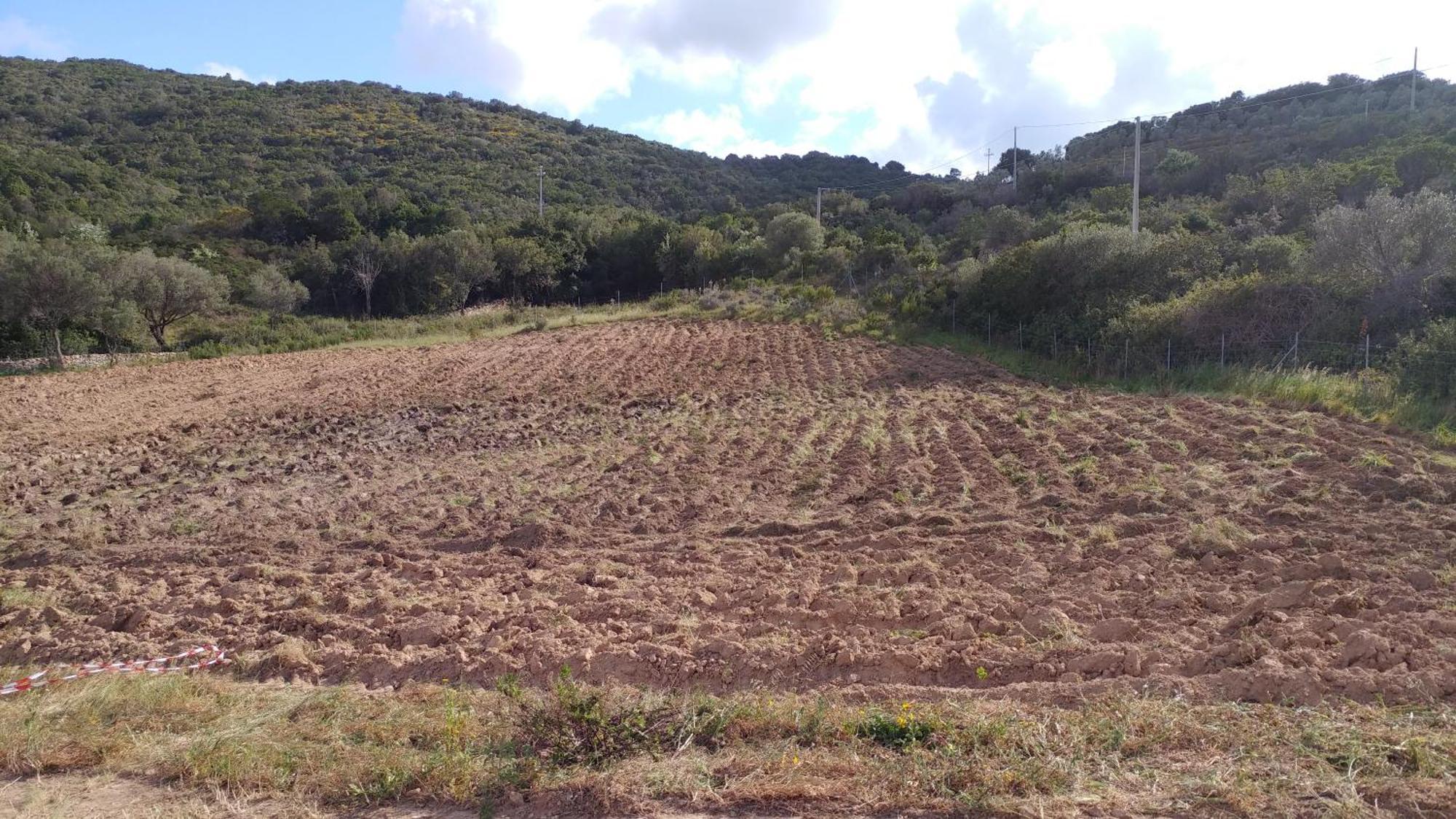 Agriturismo Agrisole Олбия Екстериор снимка