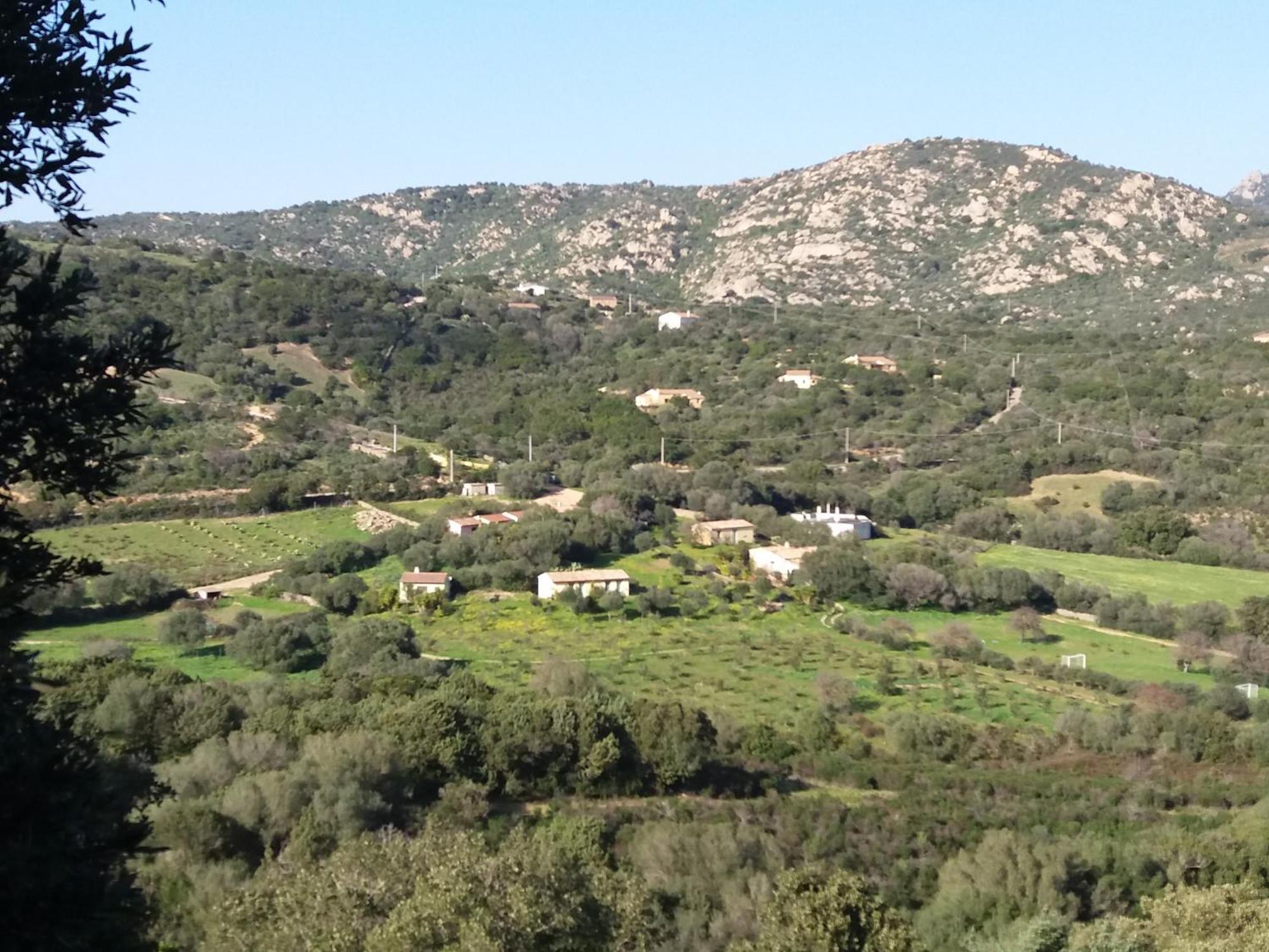 Agriturismo Agrisole Олбия Екстериор снимка