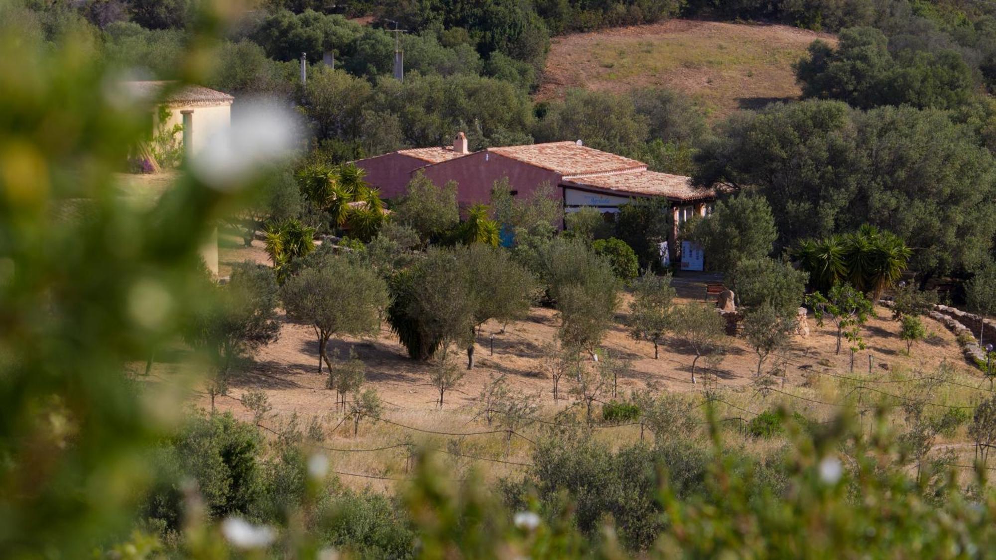 Agriturismo Agrisole Олбия Екстериор снимка
