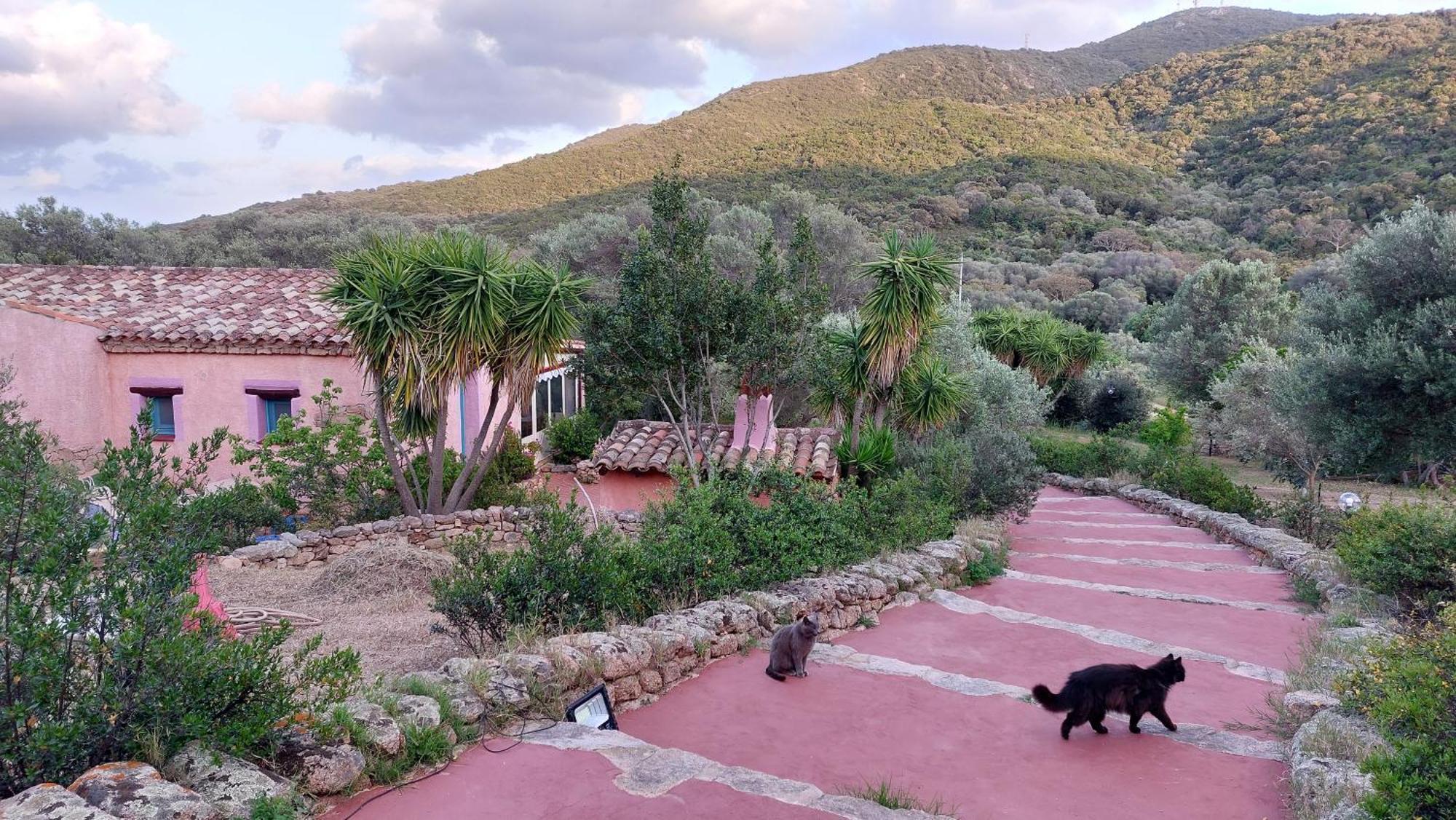 Agriturismo Agrisole Олбия Екстериор снимка