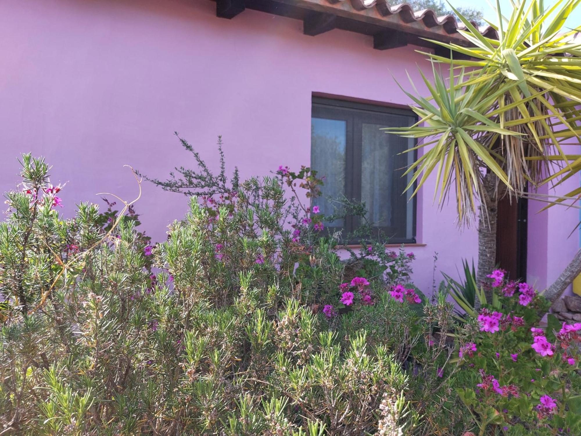 Agriturismo Agrisole Олбия Екстериор снимка