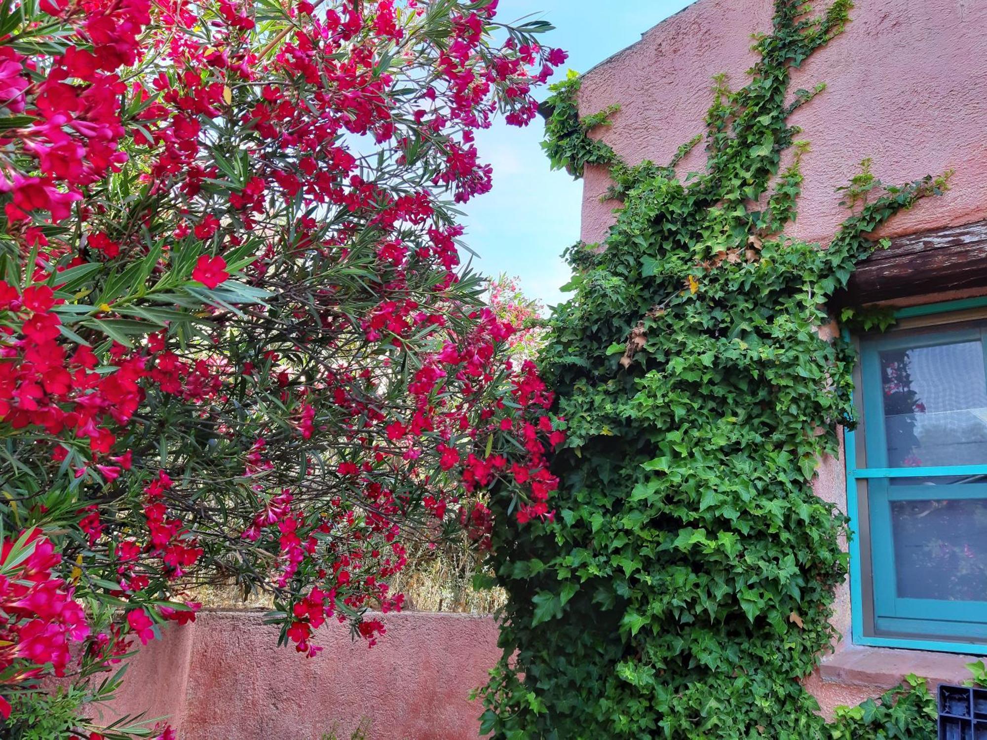 Agriturismo Agrisole Олбия Екстериор снимка
